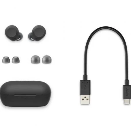 Sony WF-C710N Auriculares Bluetooth Inalámbricos con Cancelación de Ruido (Negros) - IPX4, 30h Batería Total, Estuche de Carga